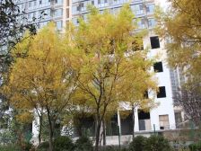 颐龙恒泰精装证过二好楼层东边户带产权车位