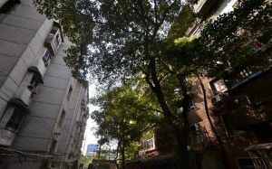 社会科学院3室2厅南