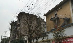 德雅公寓宿舍 2室2厅 南