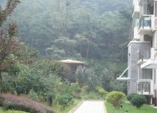 小区环境优美,视野宽阔,近市场,车站