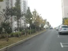 山海一家一期 1室1厅 西南