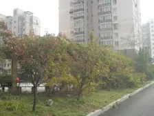 业主急售 高新小两室 好楼层 近腾飞 刚需 价格可谈