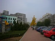 五期中间楼层,南向精装一室,总房款低,诚心出售