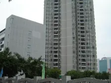 金马路小高层 大阳台50平 养宠物做菜园喝茶 交通便利