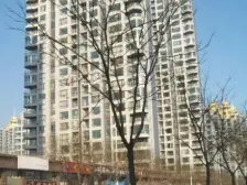 南北通透通厅,三室两厅两卫,全明户型,双南卧室