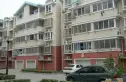 新春小区实景图