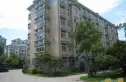 新春小区实景图