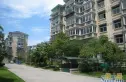 新春小区实景图