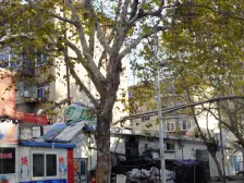 房主诚心出,一室一厅一卫,南北通透,免费停车