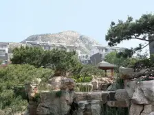 此房诚心出售 地上别墅 产权清晰