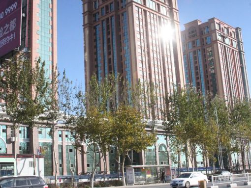  �ϴ���̨����1��1��1��������1000.00Ԫ/�³��� 