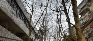 雅塘新居3室2厅南北