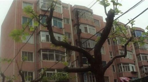  ���ǹ㳡2��1��1���ϱ�����900.00Ԫ/�³��� 