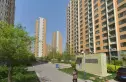 剑桥春雨实景图
