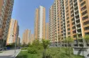 剑桥春雨实景图