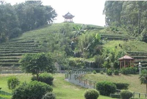 天福园林宿舍实景图