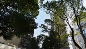 雨花亭双电梯大四房单位院子近地铁口满五唯一