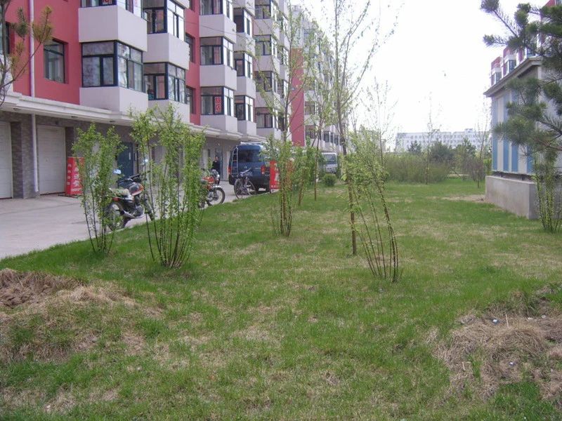 小区相关图