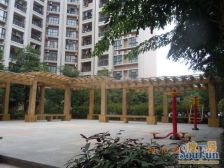 阳光粤港东南朝向两房中间楼层诚意出售