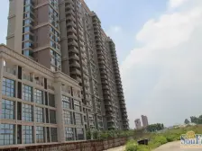 龙泉豪苑 中楼层好户型方正环境安静视野开阔