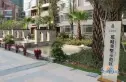 松湖春天实景图