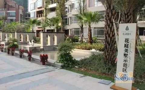 松湖春天实景图
