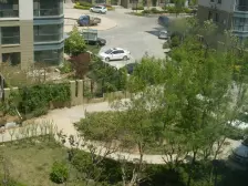 沿海电梯小高层小面积中间楼层出租自住都可以