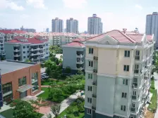 绿色家园 3室1厅 东南