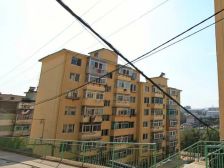 锦文路市桥街交叉稀有小户型闹中取静寻找有缘人