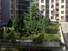 惠园公寓小户型方正交通购物方便