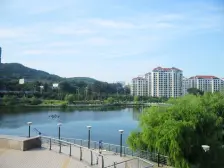 台湾村 百万精装修 中间楼层 西打头 视野好 看房方便