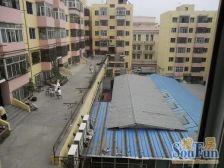 房子采光好 交通便利 出行方便