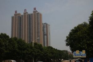 涧西区洛浦公园旁,精装一居,双气,2013年电梯房