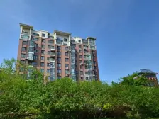 西山园中园 一楼下跃 大开间 园林景观