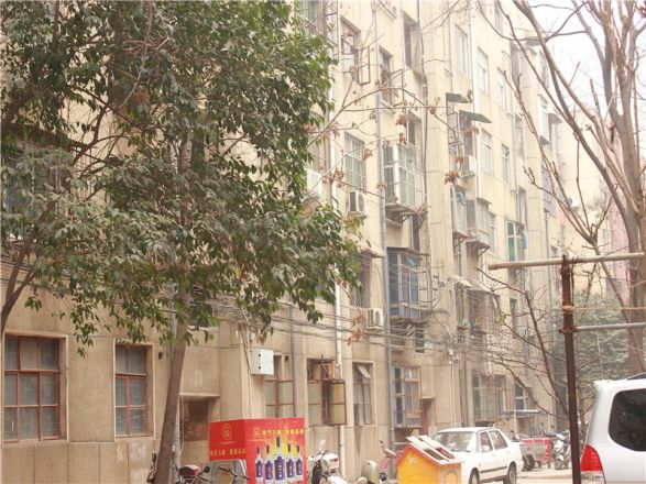 健康新村实景图