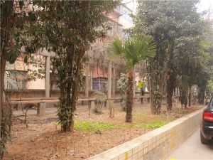 纱厂路,精品四室,双气,步梯房