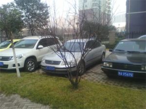 中铝家园观湖景全新精装三居室两梯两户地铁口