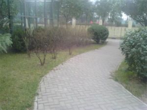 中铝嘉园满两年全款房领包入住