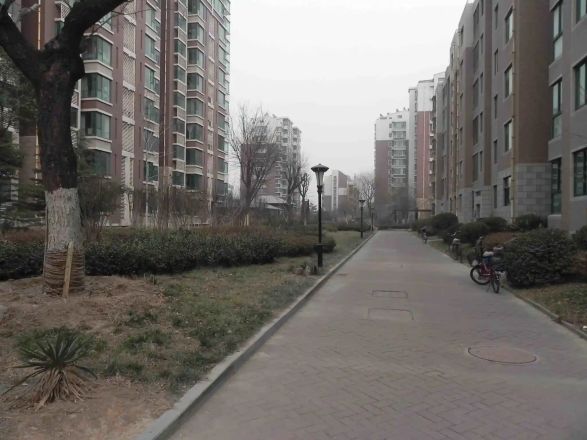 金石铭城实景图