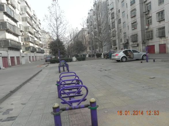 金花村实景图