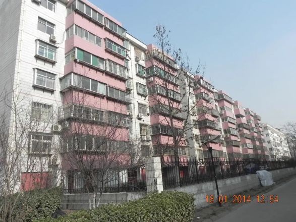 金花村实景图