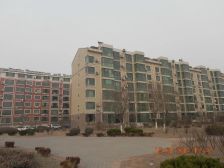 绿杉园2室1厅南