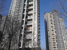 毛坯大平层 电梯入户 一线海景 东打头 有露台