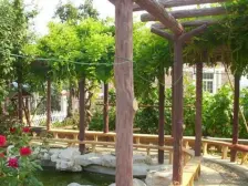 前后院子,上下三层,小区安静,位置优越,生活便利