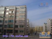 汇金小区 标准H户型 南北通透 全天采光 不临街不