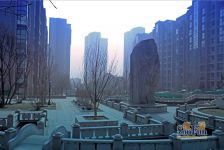 龙庭C区带车位带地下室装修好采光好