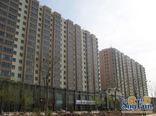  ��ʳһ�����Ժ2��1��1���ϱ�����1000.00Ԫ/�³��� 