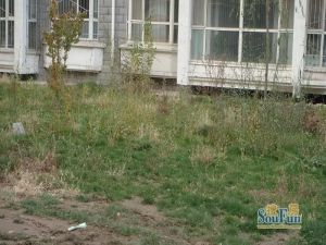 食品工业小区 简单装修 出行方便 配套成熟