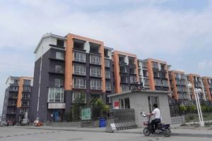 新华小区 关小 精装修 通透 税费低