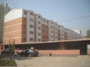 落凤街好房出售 中间楼层 两室 精装修 朝南北 到校近